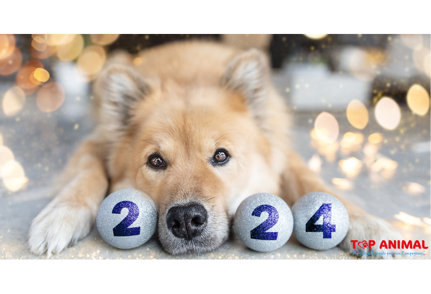 BELLE ET HEUREUSE ANNEE 2024